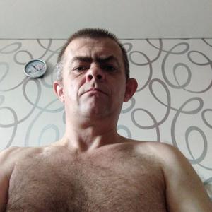 Евгений, 42 года, Курск