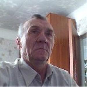 Владимир Железнов, 73 года, Сосновское