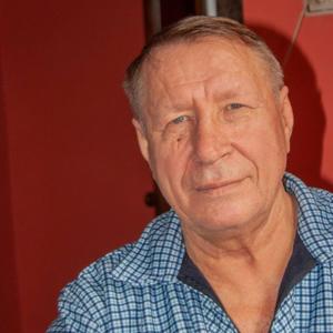 Игорь Мироненко, 71 год, Вейделевка