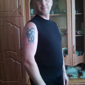 Дима, 41 год, Щелково
