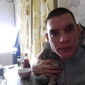 Andrey, 35 лет, Волоколамск