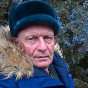 Vladimir, 69 лет, Североуральск