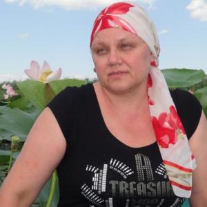 Девушки в Саратове: Светлана, 53 - ищет парня из Саратова