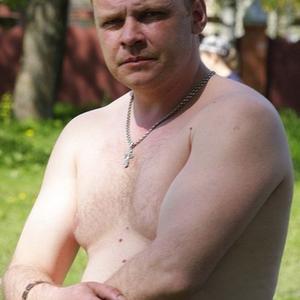 Николай, 40 лет, Саранск