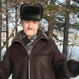Николай, 70 лет, Краснотуранск