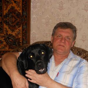 Михаил, 63 года, Елизово