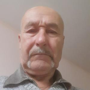 Николай Сельмин, 75 лет, Новоалтайск