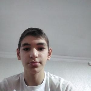 Якуб, 20 лет, Али-Юрт