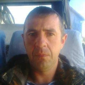 Владимир, 42 года, Миоры