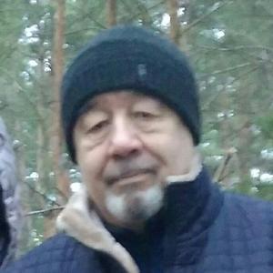 Сергей Гладков, 74 года, Воронеж