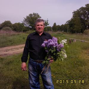 Владимир, 74 года, Иваново