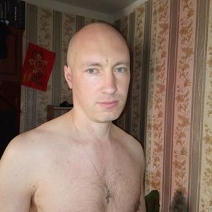 Александр, 37 лет, Барнаул