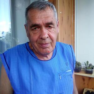 Александр, 72 года, Курск