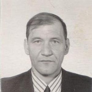 Юрий, 64 года, Шадринск