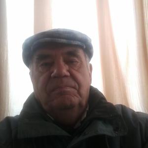 Виктор Елчев, 73 года, Самара