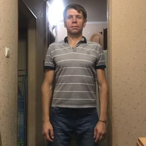 Николай, 43 года, Краснодар