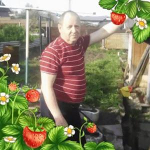 Юрий, 69 лет, Ярославль
