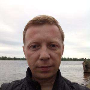 Andrey, 41 год, Сарапул