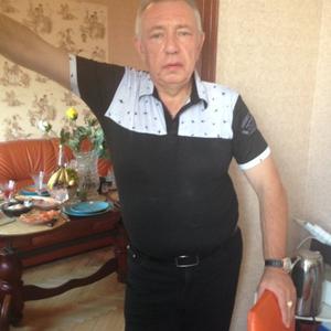 Александр Ленгауэр, 71 год, Москва