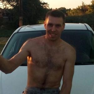 Дмитрий, 31 год, Щелково
