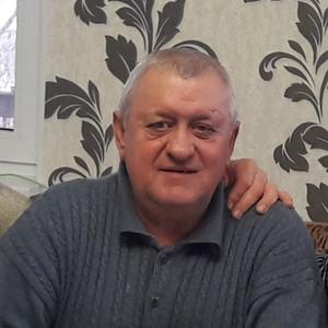 Сергей Балаус, 68 лет, Красное