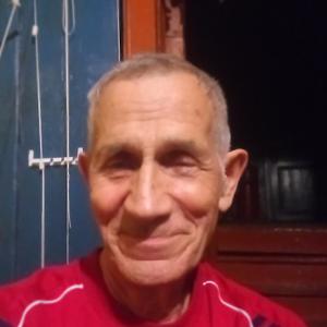 Николай, 77 лет, Боровичи