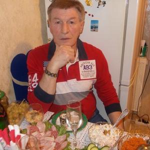 Николай, 72 года, Мурманск