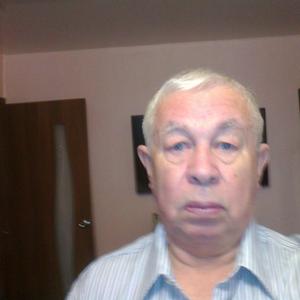 Впадимир, 74 года, Нижний Новгород