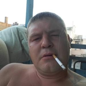 Миша, 44 года, Новочеркасск