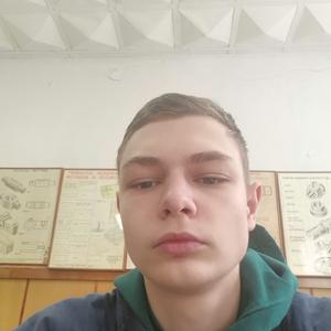 Дмитрий, 18 лет, Кирсанов