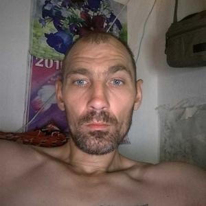 Сергей, 39 лет, Лесозаводск