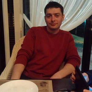 Artem, 37 лет, Северск