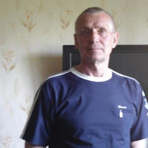 Александр, 69 лет, Бийск