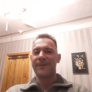 Денис, 43 года, Оленегорск