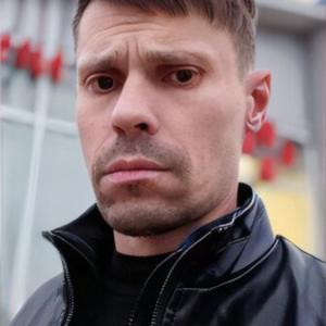 Bogdan, 42 года, Житомир