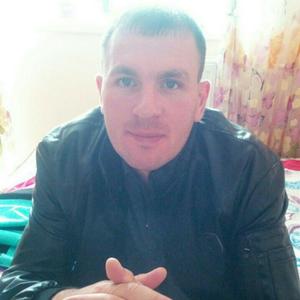 Александр, 38 лет, Череповец
