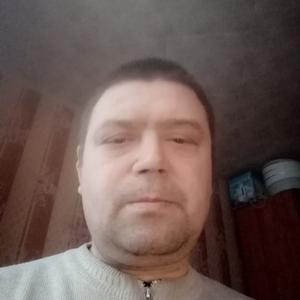 Вася, 43 года, Фурманов