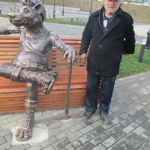 Виктор, 66 лет, Кировград