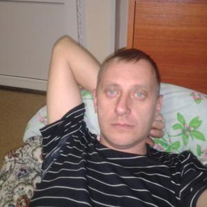 Сергей, 44 года, Новоалтайск