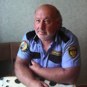 Владимир, 68 лет, Камышин