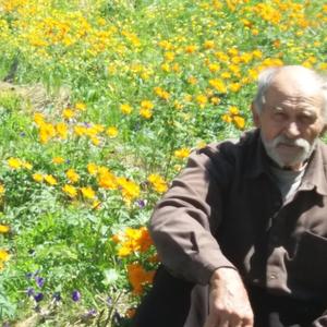 Парни в Абакане: Александр Толстихин, 68 - ищет девушку из Абакана