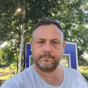 Дмитрий Рыбенко, 49 лет, Протвино