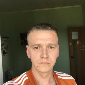 Сергей, 41 год, Арамиль