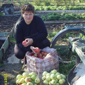 Екатерина, 46 лет, Вичуга