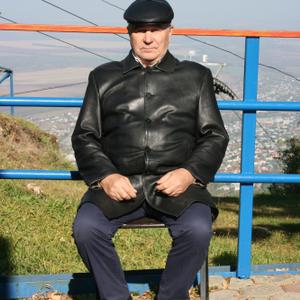 Venik, 71 год, Тюмень