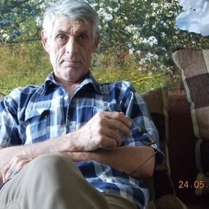 Михаил, 67 лет, Каменск-Уральский