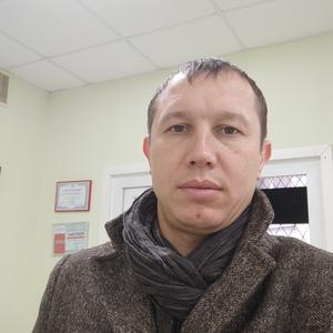Роман, 41 год, Владимир