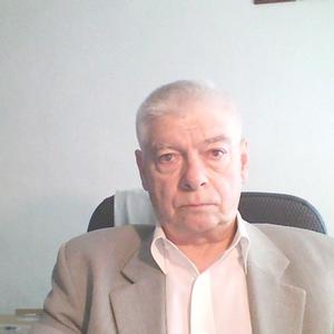 Владимир Георгиевич , 74 года, Ростов-на-Дону
