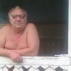 Виктор Заводов, 68 лет, Иваново