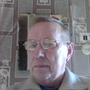 Владимир, 68 лет, Нижний Тагил